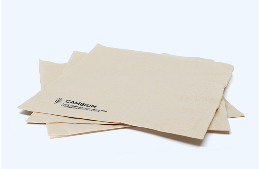 Bamboo Napkin - 2000 pcs/ case
